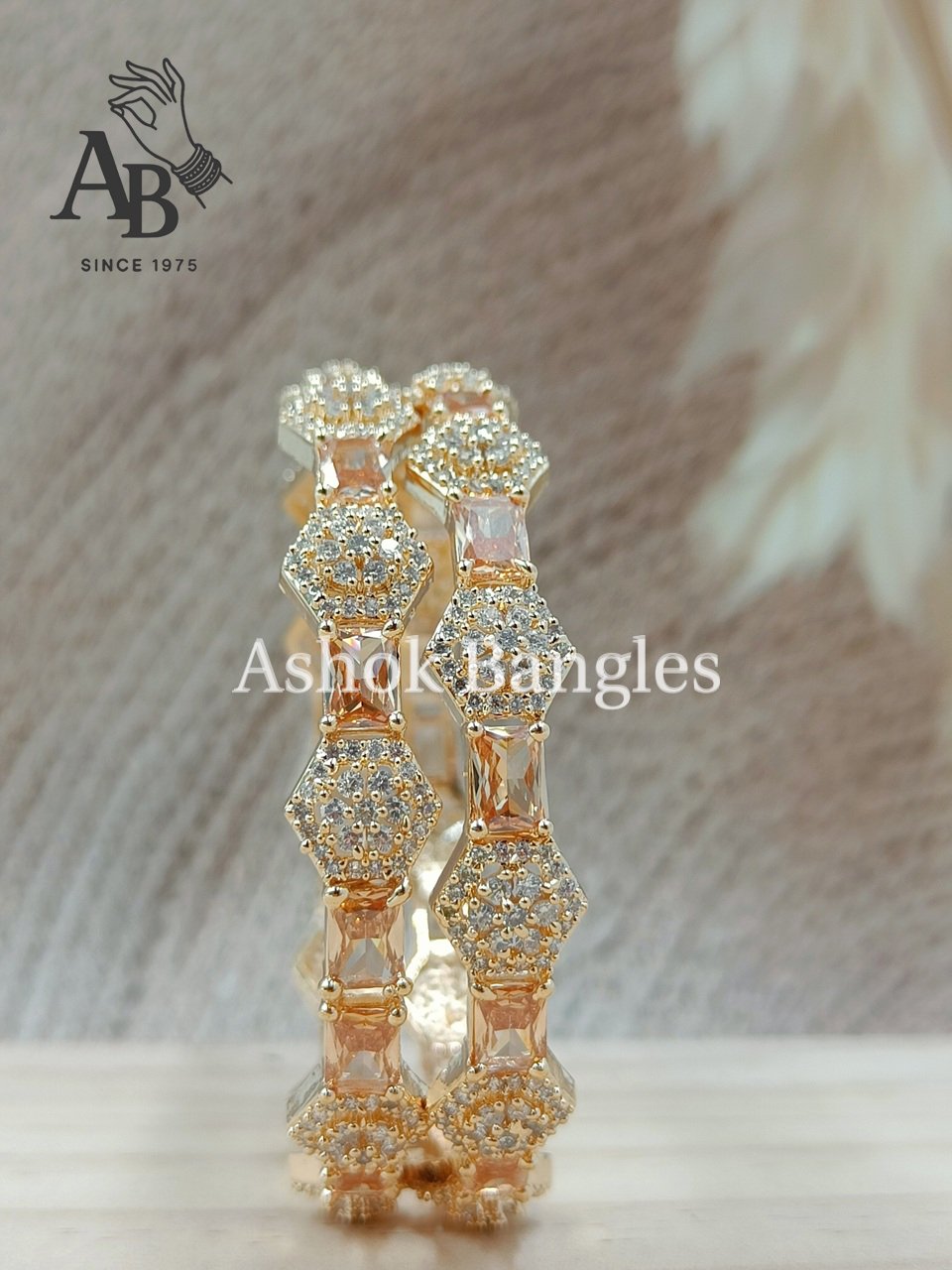 A.S/00046 1 A.S/00046