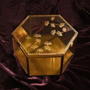 Glass Box